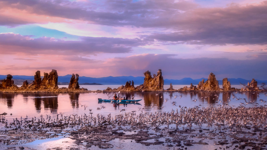 Morning View of the Mono Lake by Anna An